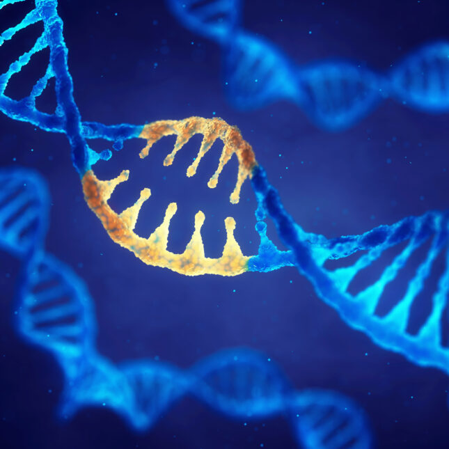 DNA in blue with a segment of modified genes shown in yellow