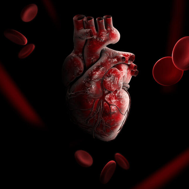 Heart surrounded by blood cells on dark background – health coverage from STAT
