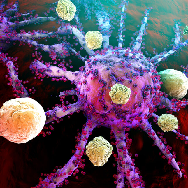3D rendering of T-cells attacking growing cancer cells.