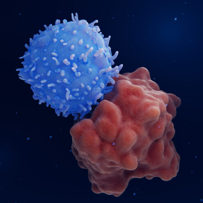 Blue CAR-T cell attacks a leukemia cell. --health coverage from STAT