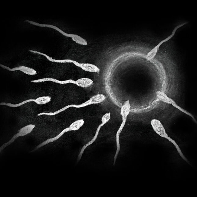 Fertilization of sperm and egg drawing with chalk on blackboard