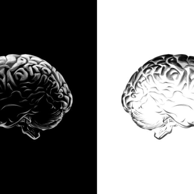 Illustration of brains on a black and white background